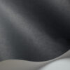 Pigment
