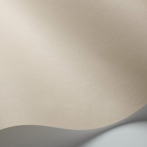Pigment