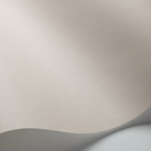 Pigment