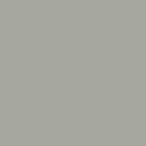 Pigment