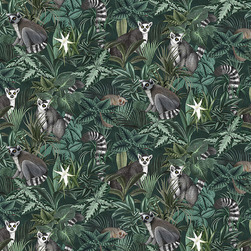 Wild Animals