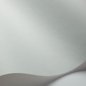 Pigment