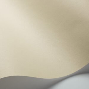Pigment