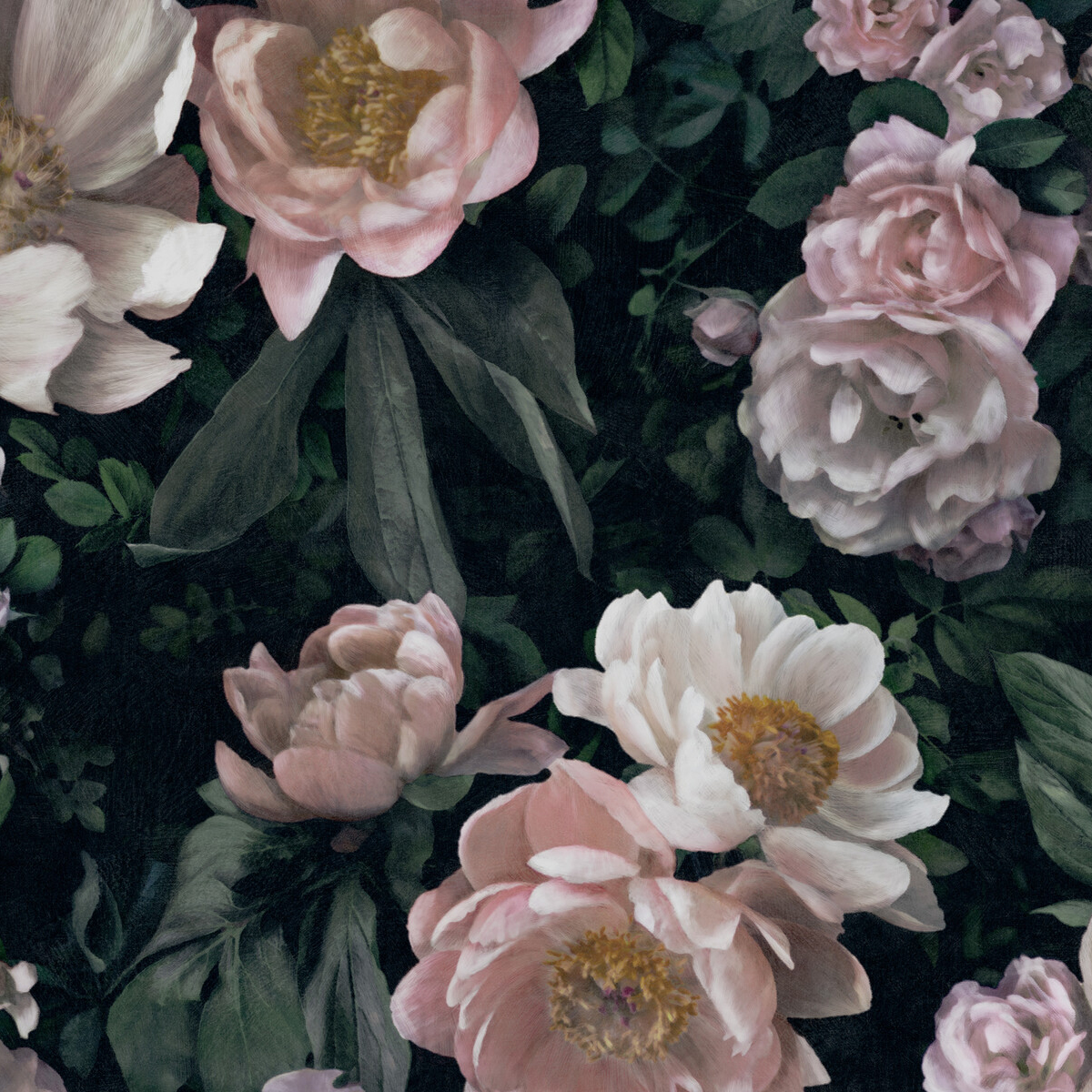 In bloom