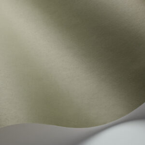 Pigment