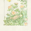 Scandinavian designers mini