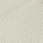 col-01-labrador-white