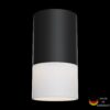 Ceiling Lamp Pauline