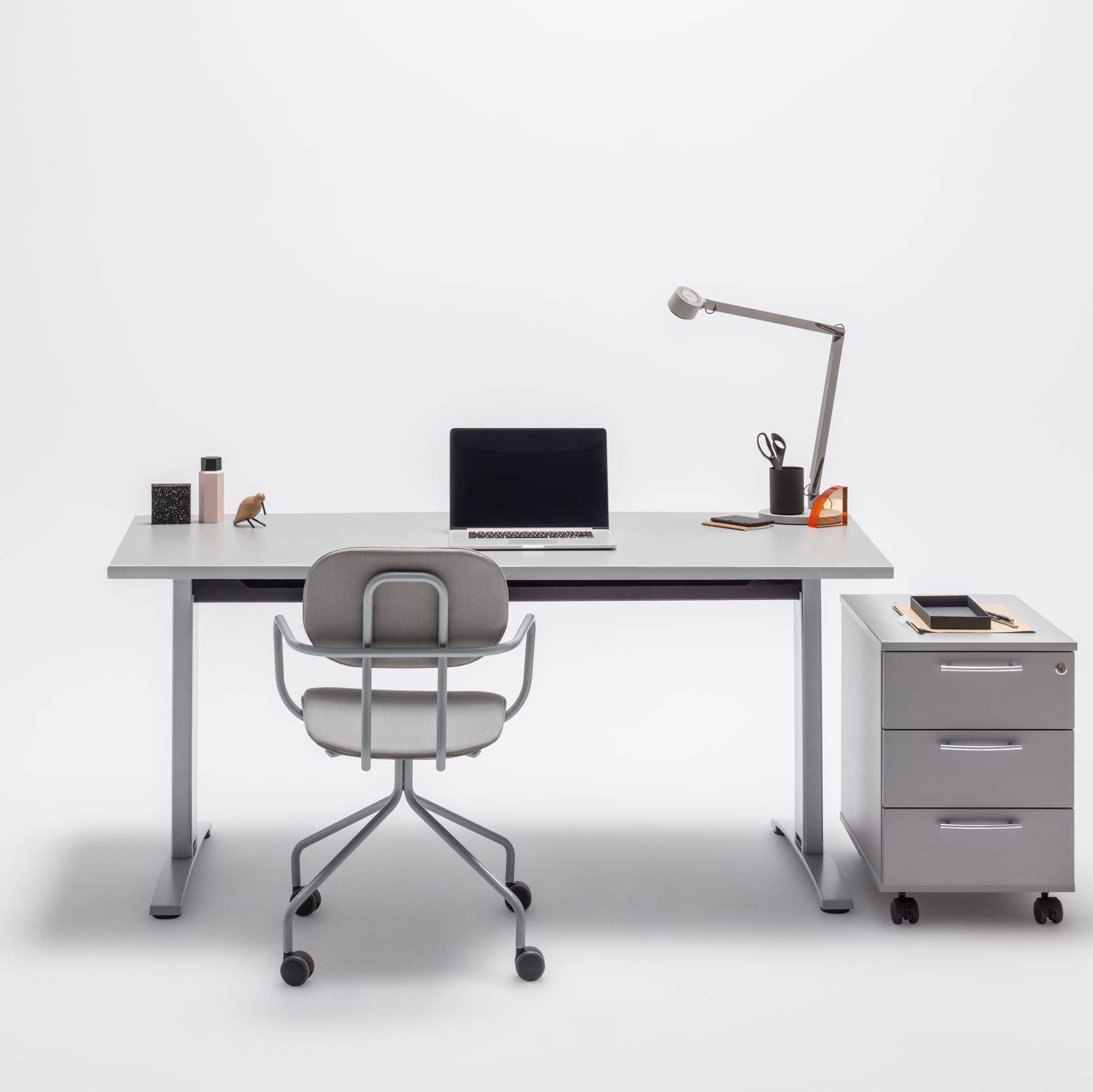 ERGONOMIC MASTER 1
