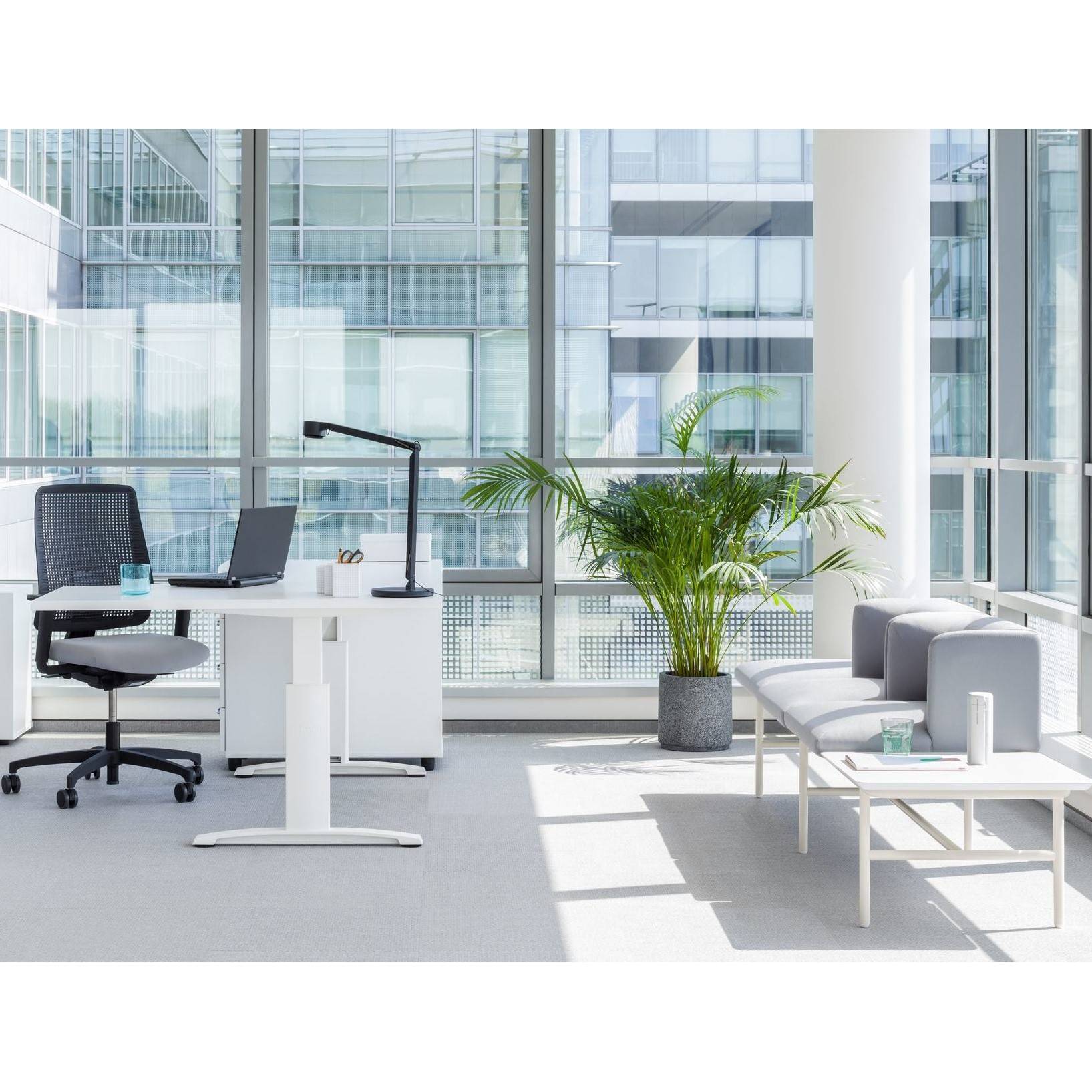 ERGONOMIC MASTER 1