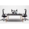 OGI W Bench